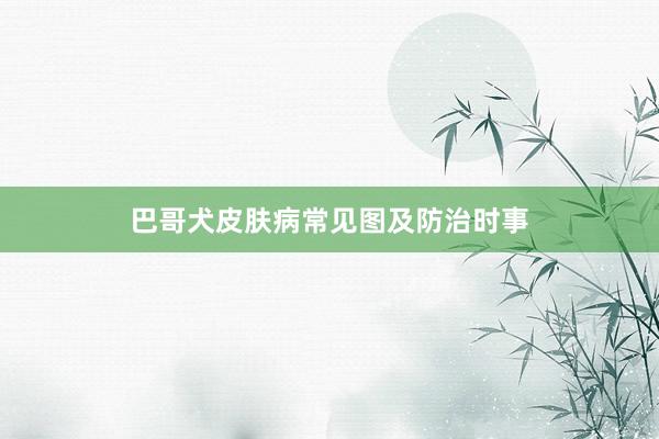 巴哥犬皮肤病常见图及防治时事
